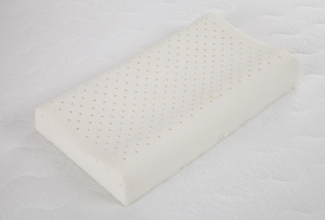 Organic Pillow